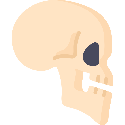 crâne Special Flat Icône