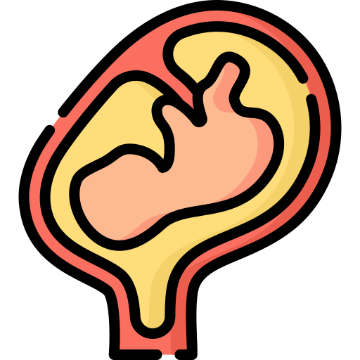 Fetus Special Lineal color icon