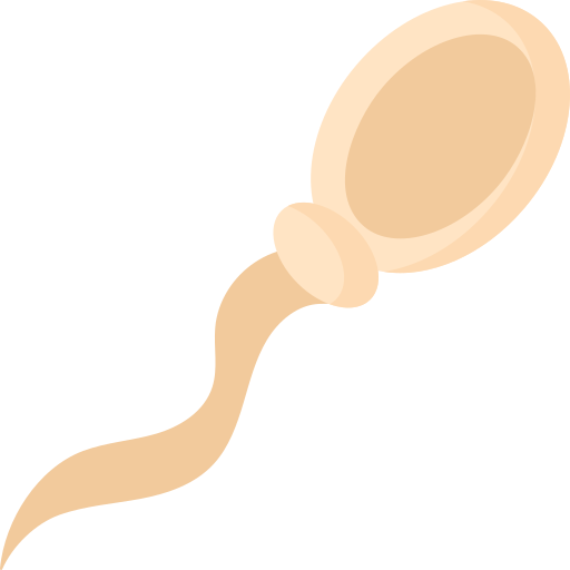 Sperm Special Flat icon