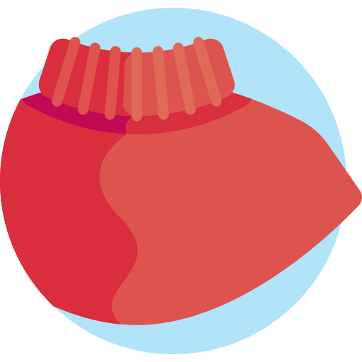 poncho Detailed Flat Circular Flat icoon
