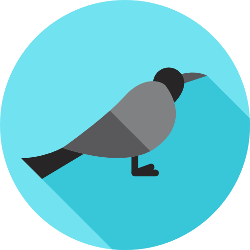 cuervo Flat Circular Flat icono