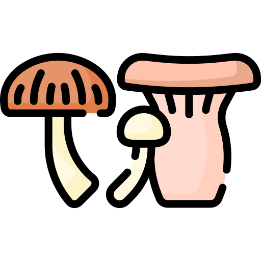 Mushrooms Special Lineal color icon