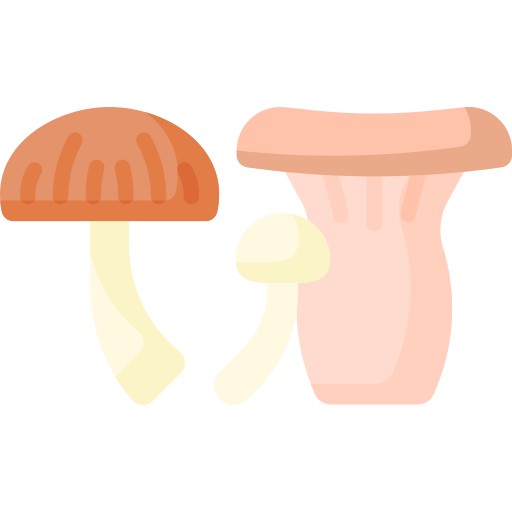 champignons Special Flat Icône