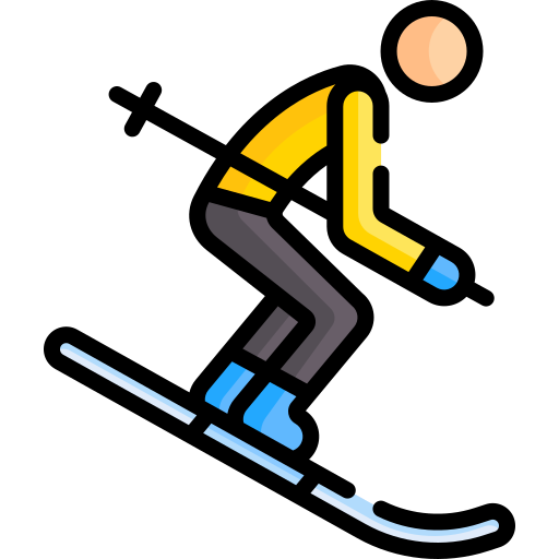 ski Special Lineal color icon