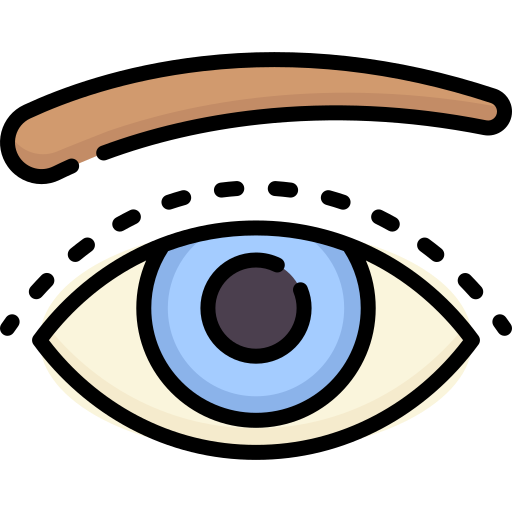 auge Special Lineal color icon