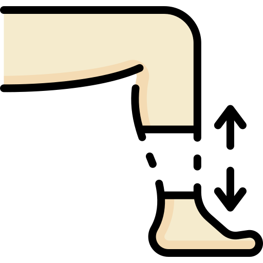 다리 Special Lineal color icon