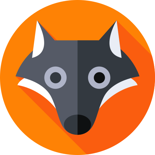Raccoon Flat Circular Flat icon