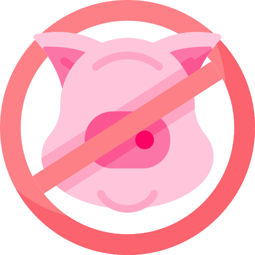 No pig Special Flat icon