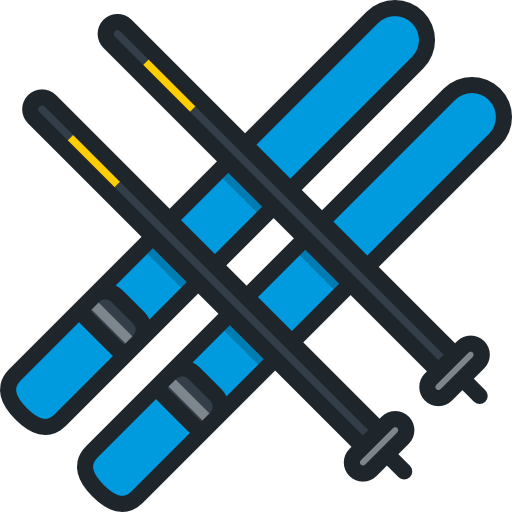 Ski Special Lineal color icon