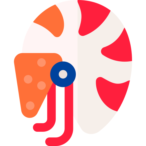 Nautilus Basic Rounded Flat icon