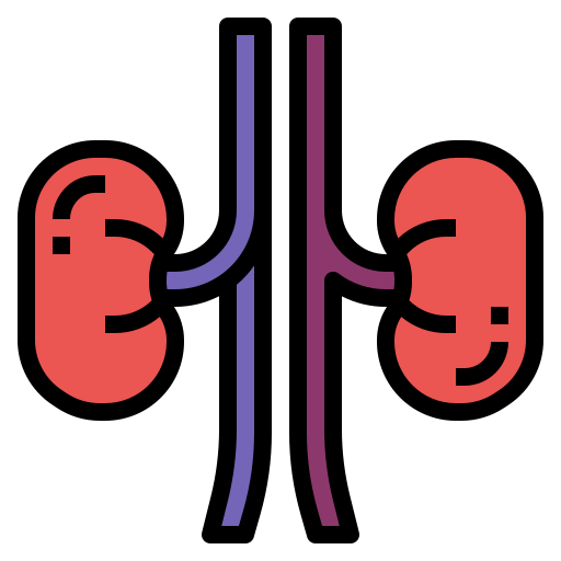 腎臓 Generic Outline Color icon