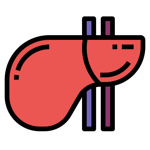 Liver Generic Outline Color icon