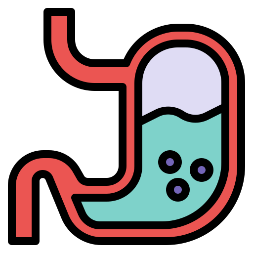 bauch Generic Outline Color icon