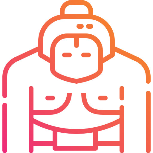 相撲 Mangsaabguru Lineal Gradient icon