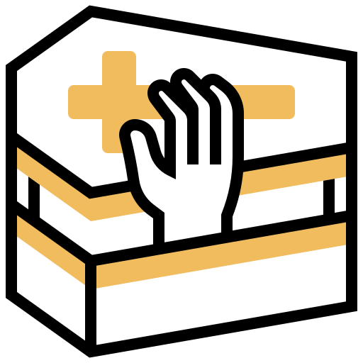 Casket Meticulous Yellow shadow icon