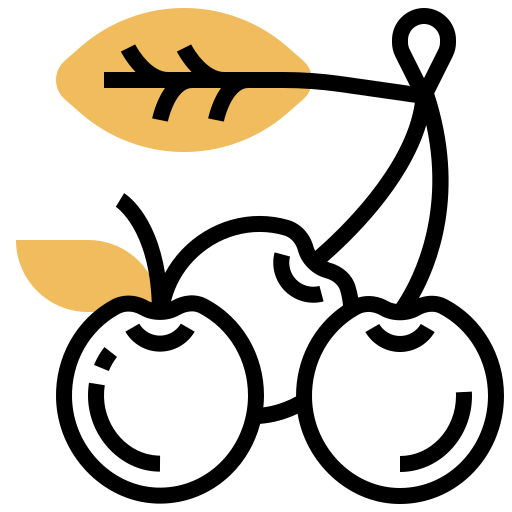 kirschen Meticulous Yellow shadow icon