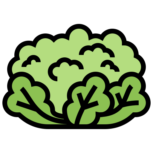 Cauliflower Meticulous Lineal Color icon