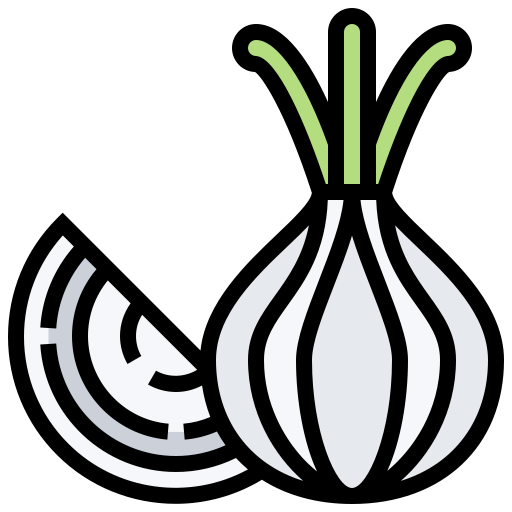 Onion Meticulous Lineal Color icon