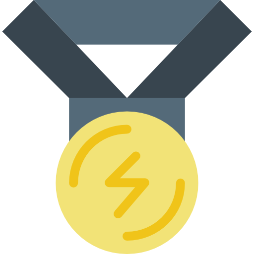 medaglia d'oro Basic Miscellany Flat icona
