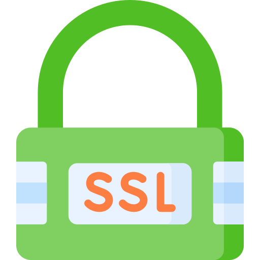 ssl Special Flat icon