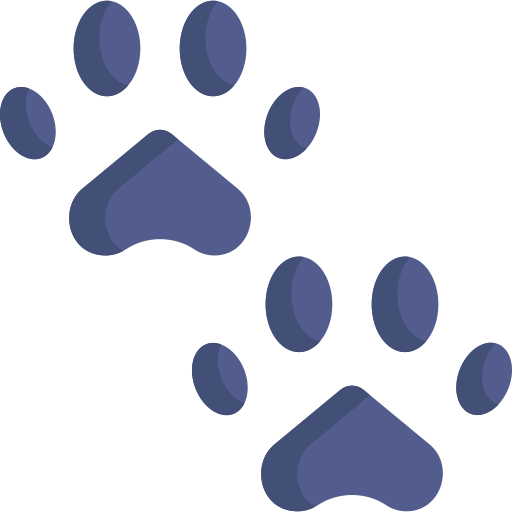 Pawprints Special Flat icon