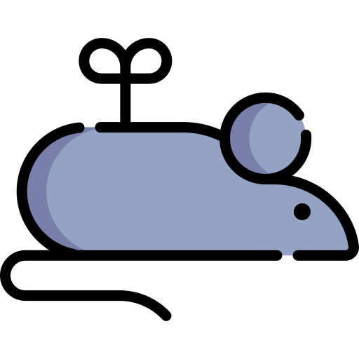 zabawka mysz Special Lineal color ikona