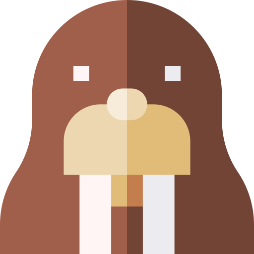 Walrus Basic Straight Flat icon