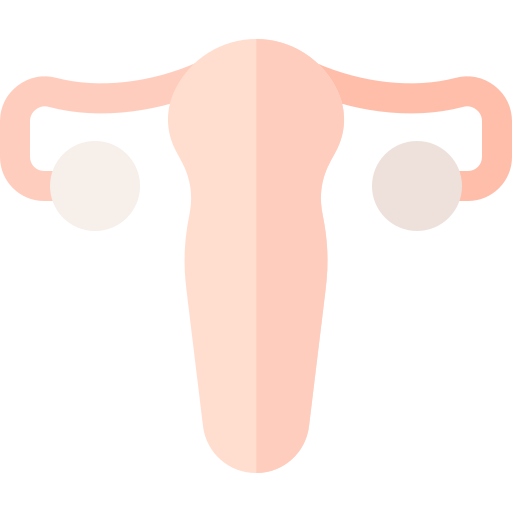 Uterus Basic Rounded Flat icon