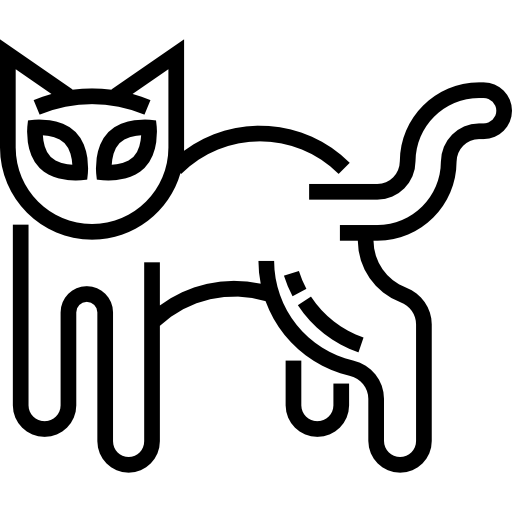 zwarte kat Detailed Straight Lineal icoon