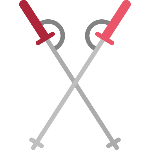 Ski poles Special Flat icon