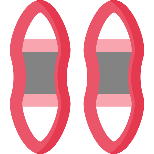 Snowshoes Special Flat icon