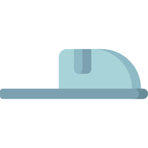 zapatilla Special Flat icono