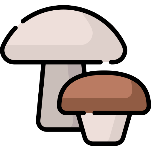 cogumelos Special Lineal color Ícone
