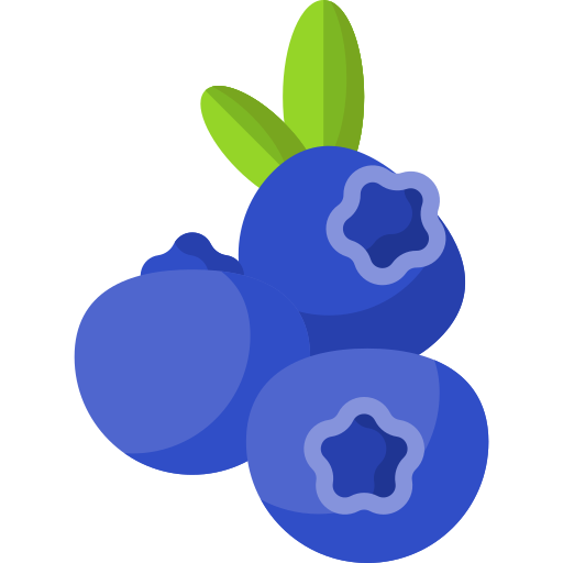 Blueberries Special Flat icon