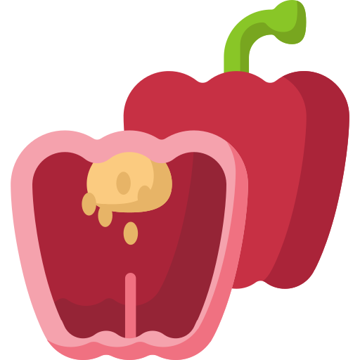 Bell pepper Special Flat icon