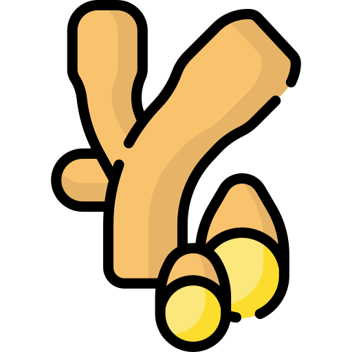 Ginger Special Lineal color icon
