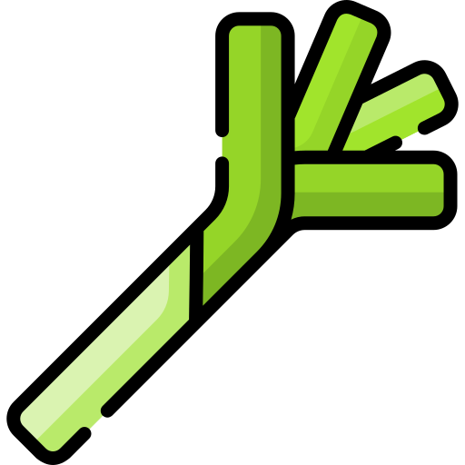 Leek Special Lineal color icon