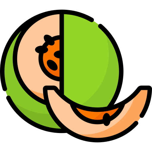 Melon Special Lineal color icon