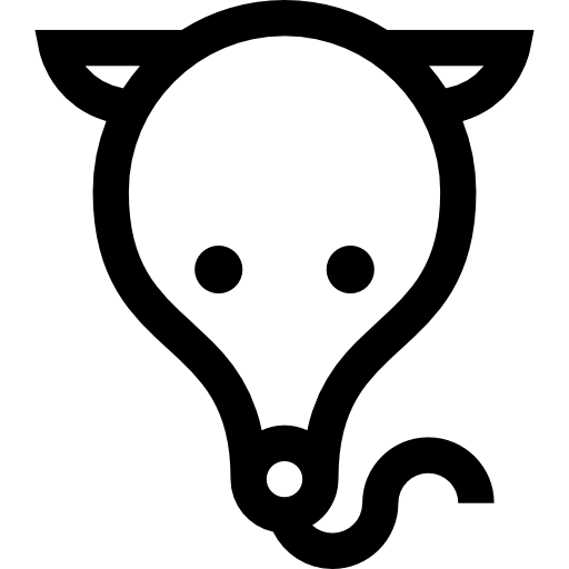 mrówkojad Basic Straight Lineal ikona