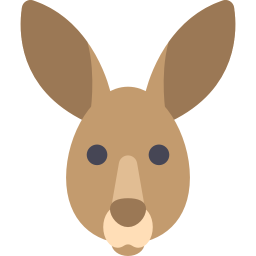 Kangaroo Special Flat icon