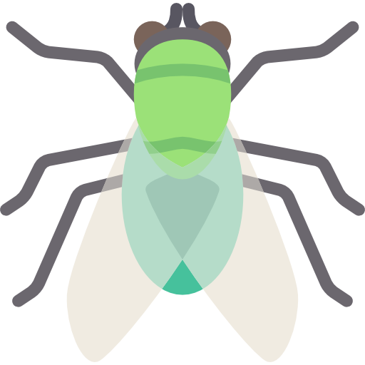 mosca Special Flat icono