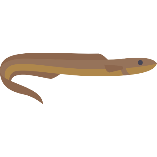 Moray Special Flat icon