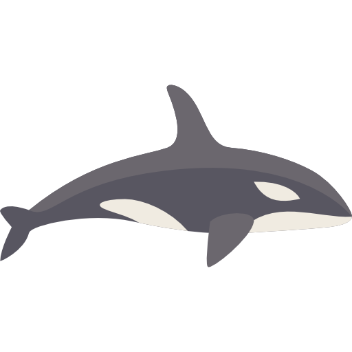 orka Special Flat ikona