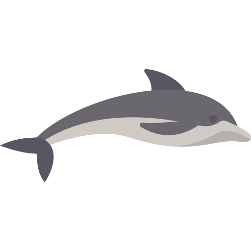 delfin Special Flat icon