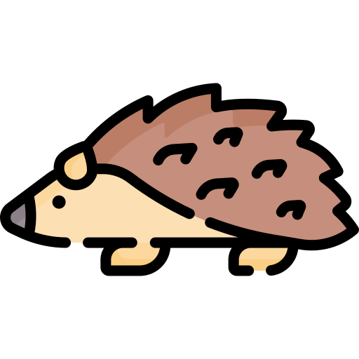 igel Special Lineal color icon