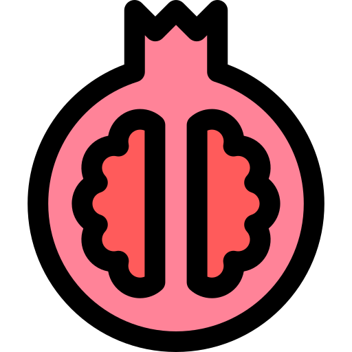 granatapfel Generic Outline Color icon