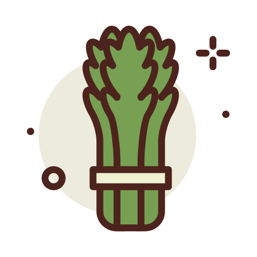 Asparagus Darius Dan Lineal Color icon