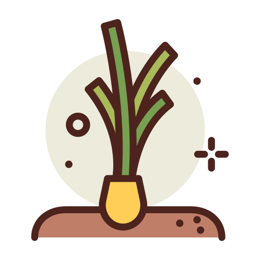 Spring onion Darius Dan Lineal Color icon