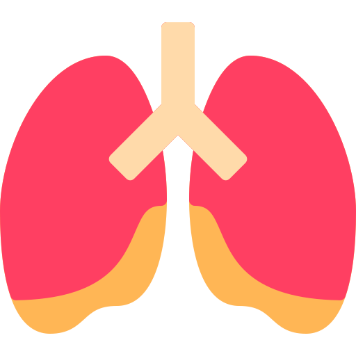肺 Berkahicon Flat icon
