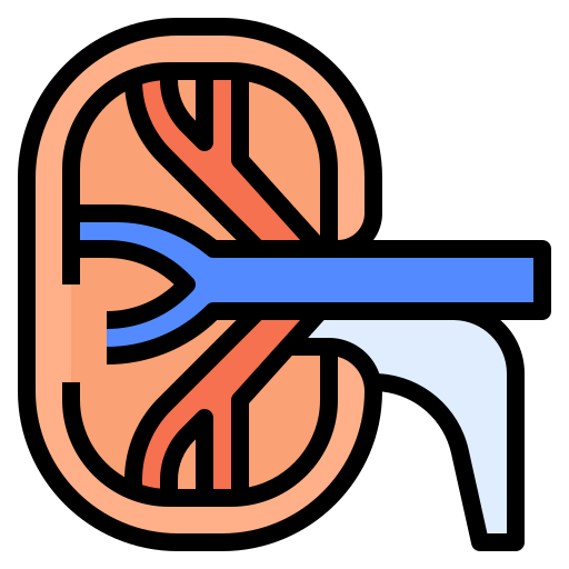 riñón Ultimatearm Lineal Color icono